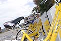 Bike Shating nelle vicinanze dell�asilo nido ad Acquaviva delle Fonti - Bari