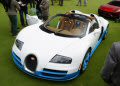 Bugatti Veyron 16.4 Grand Sport Vitesse Special Edition