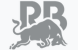 Team Racing Bulls