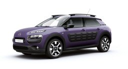 Special Edition C4 Cactus Ciesse Piumini