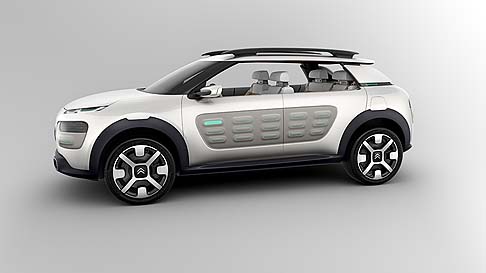 Citroen Cactus