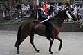 Tremendo vince con il cavallo Preziosa Penelope il Palio di Ferrara 2018