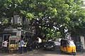 Atmosfera Pondicherry in India con tre ruote usati come taxi, bike e auto Toyota