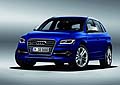 Per la recente Audi SQ5, il modello pi sportivo della gamma, qui troviamo una potente motorizzazione turbodiesel 3.0 TDI biturbo da 313 CV di potenza e coppia massima di 650 Nm a 1.450 giri. 