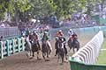 Gara secondo giro al Palio di Ferrara per la corsa dei cavalli conduce il cavallo Preziosa Penelope del fantino Francesco Caria