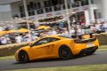 Durante il Festival, la McLaren ha presentato tre esclusive vetture davanti a una folla di circa 200.000 persone, che ha potuto assistere al debutto ufficiale della McLaren P1.