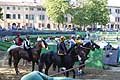 Palio di Ferrara 2017 schieramento per la corsa di cavalli
