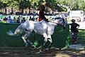 Cavallo Bianco al Palio di Ferrara 2017 con fantini che corrono anche Palio di Siena
