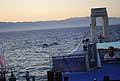 Regata del Mediterraneo per levento - I Tesori del Mediterraneo - a Reggio Calabria nello stretto di Messina