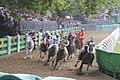 Trionfo finale del fantino Tremendo su cavallo Preziosa Penelope al Palio di Ferrara 2018