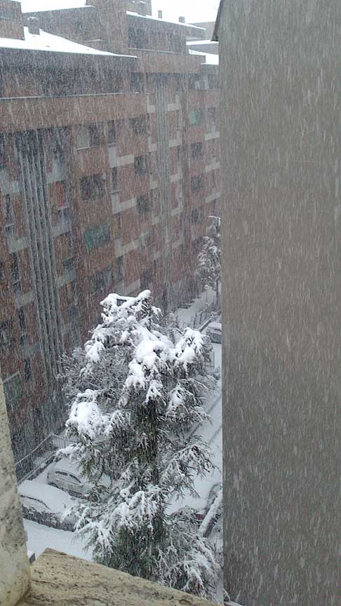 Bologna - Bologna sommersa dalla neve il 24 e 25 Febbraio 2013