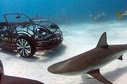 Volkswagen - Volkswgen Beetle Shark Cage Cabrio