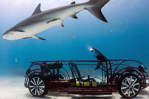 Volkswagen - Volkswgen Beetle tra gli squali