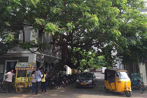 Traffico e atmosfere indiane - Atmosfera Pondicherry in India con tre ruote usati come taxi, bike e auto Toyota