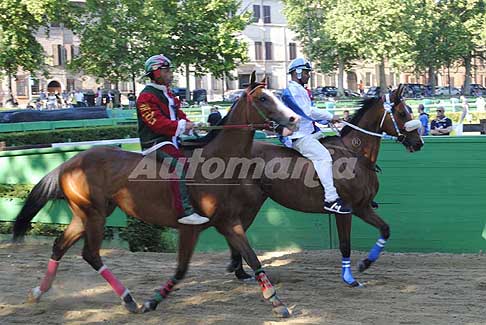Corsa di cavalli - Cavalli al galoppo per il Palio di Ferrara 2017