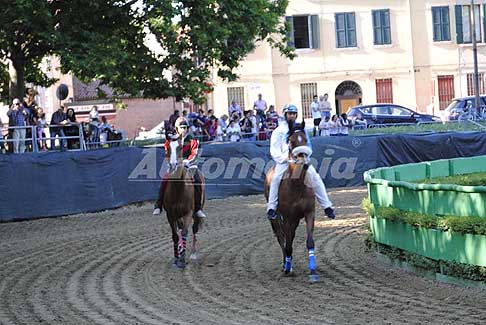 Corsa di cavalli - Corsa cavalli per il Palio di Ferrara 2017 ultima domenica di Maggio