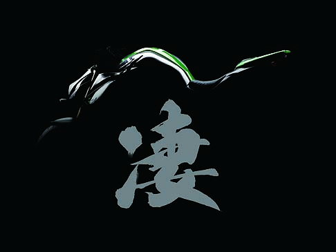 Kawasaki - Tra i top brand troveremo sicuramente Kawasaki pronta per svelare la prossima generazione della Z1000. 
