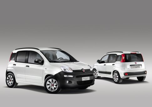Fiat - Fiat Professional offre una interessante risposta alle esigenze professionali e lo fa con la nuova Panda Van, che abbina prestazioni, maneggevolezza e comfort a caratteristiche come capacit e facilit di carico.