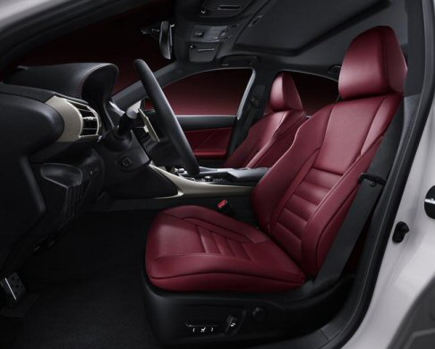 Lexus - I modelli F SPORT sono riconoscibili per lesclusivo design della griglia e del paraurti anteriore.