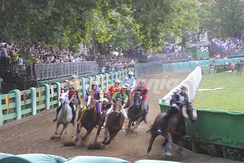 Corsa di Cavalli - Palio di Ferrara Corsa dei Cavalli al 2 giro in testa il cavallo Preziosa Penelope