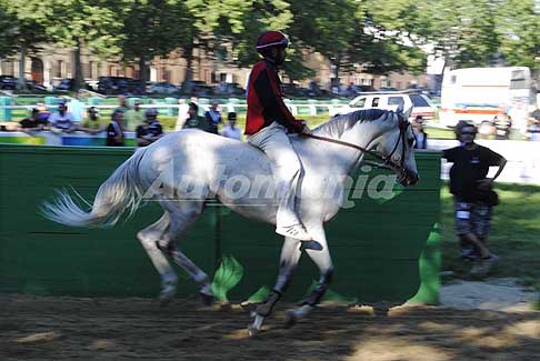 Corsa di cavalli - Cavallo Bianco al Palio di Ferrara 2017 con fantini che corrono anche Palio di Siena