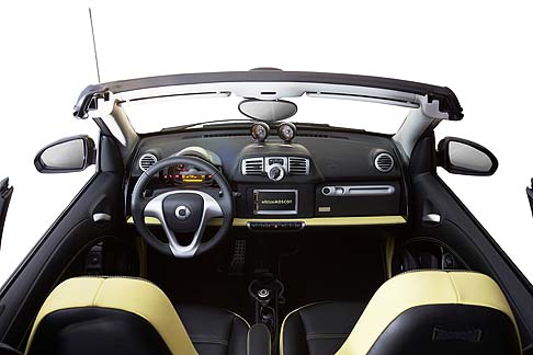 Smart Fortwo edition MOSCOT