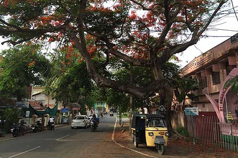 Traffico e atmosfere indiane - Viabilita auto, moto e tre ruote a Cochin in India