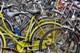 Bici-day: la festa nazionale delle due ruote 
