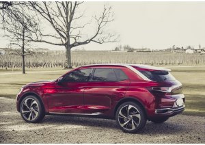 DS Wild Rubis Concept 2013
