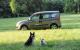 Opel lancia un modello a misura di cane
