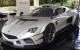 Evantra Millecavalli protagonista a Torino