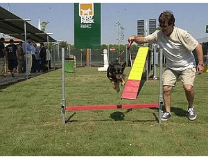 Fido Park, aree di sosta in autostrada per cani e gatti