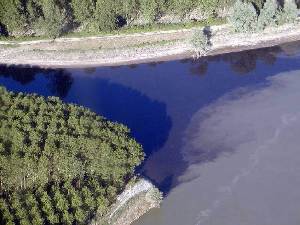 Tracce di gasolio versato nel fiume Lambro