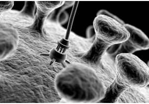 Nanomotori: il futuro della mobilit in una molecola?