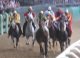 Palio di Ferrara: Tremendo vince con il cavallo Preziosa Penelope