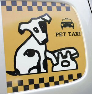 Autobau: parte a Milano il servizio taxi per animali