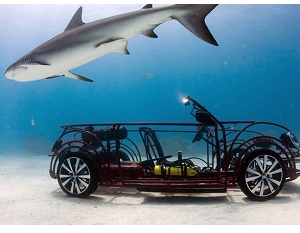 Volkswagen Maggiolino Cabrio, sub tra gli squali
