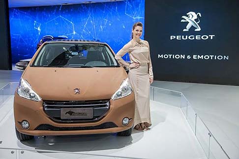 Peugeot 208 Natural Concept