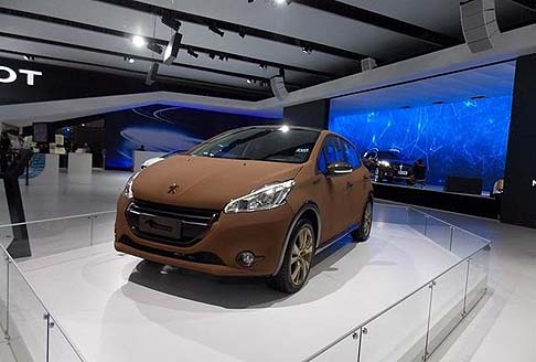 Peugeot 208 Natural Concept