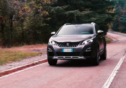 Peugeot 3008 Anniversary