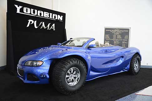 Puma Youabian