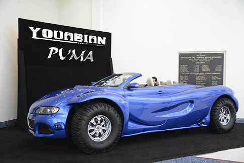 Puma Youabian