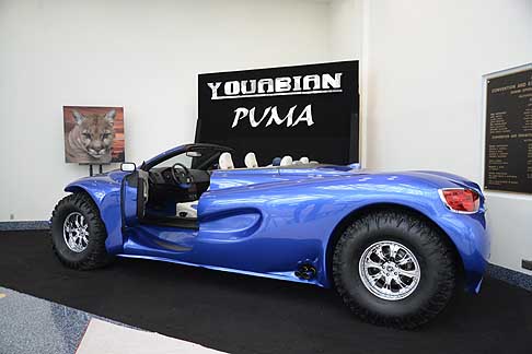 Puma Youabian