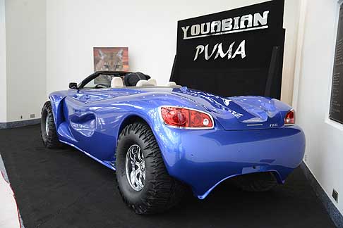 Puma Youabian