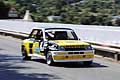 Renault 5 Tur con il pilota Montagna Francesco alla Coppa Fasano Selva 2013