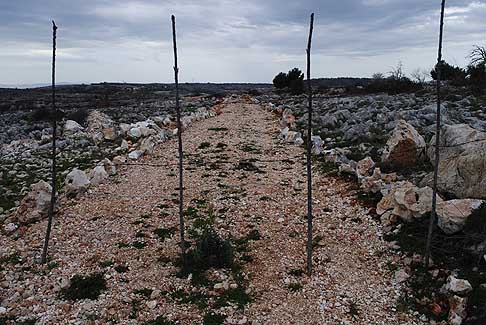 Padre Pio - Suggestivo percoso in terra battura a Borgo Celano