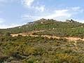 Panoramica del tracciato di gara in Saredegna del Rally WRC Italia 2012