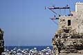 Red Bull Cliff Diving World Series 2016 lancio da 27m tuffi strepitosi a Polignano a Mare