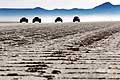 Bolivia Cile traccito auto 8^ tappa sulle saline per la Dakar 2015