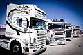  Scania camion tuning allAutodromo del Levante di Binetto